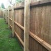 Feather Edge Fencing 3